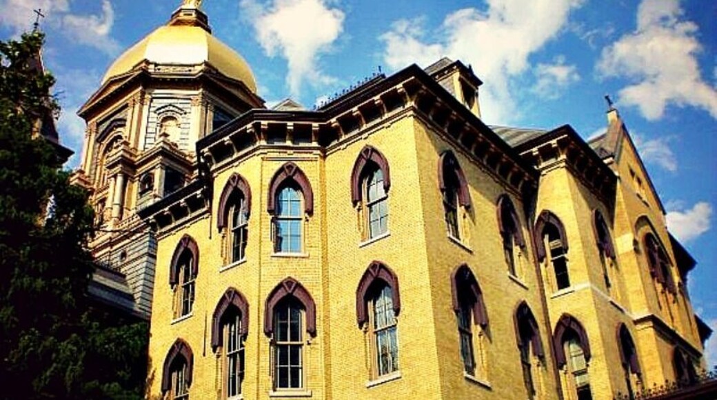 This campus is gorgeous. Full of art, architecture, and history. Try feeding the squirrels out of your hands, they're super friendly :)