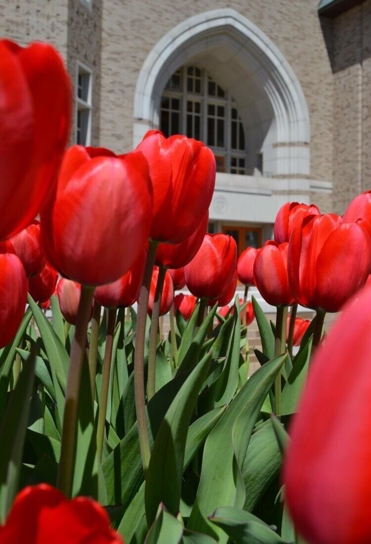 South Bend, Indiana. 