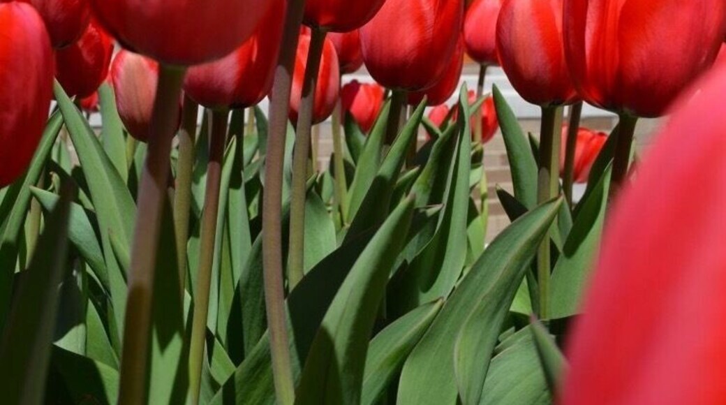 South Bend, Indiana.