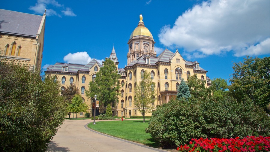 University of Notre Dame showing a garden, wild flowers and heritage architecture