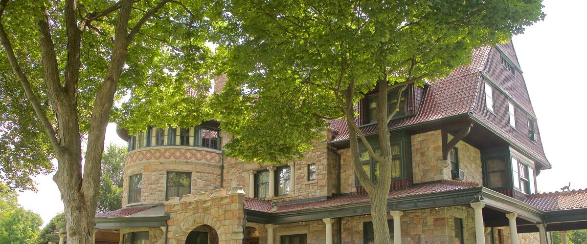 The History Museum showing heritage architecture