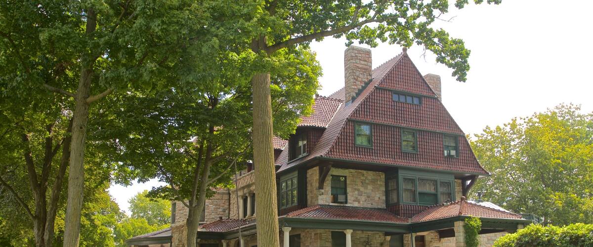 The History Museum qui includes maison et parc