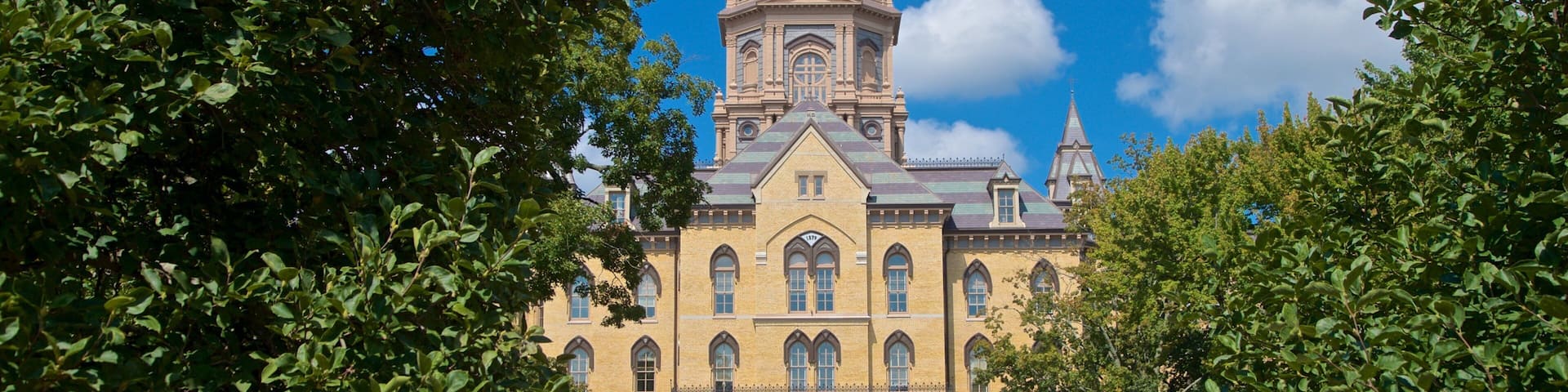 Basilica of the Sacred Heart montrant patrimoine architectural, fleurs et jardin