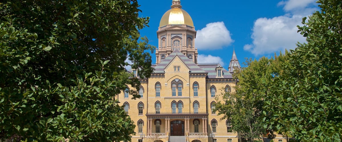 Basilica of the Sacred Heart showing flowers, a park and heritage architecture