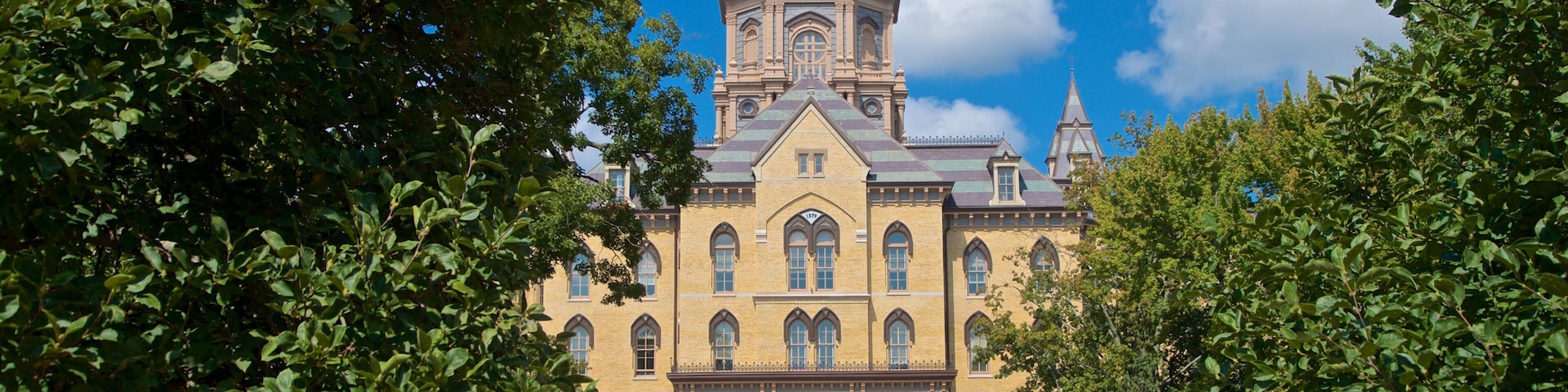 Basilica of the Sacred Heart which includes heritage architecture, flowers and a garden