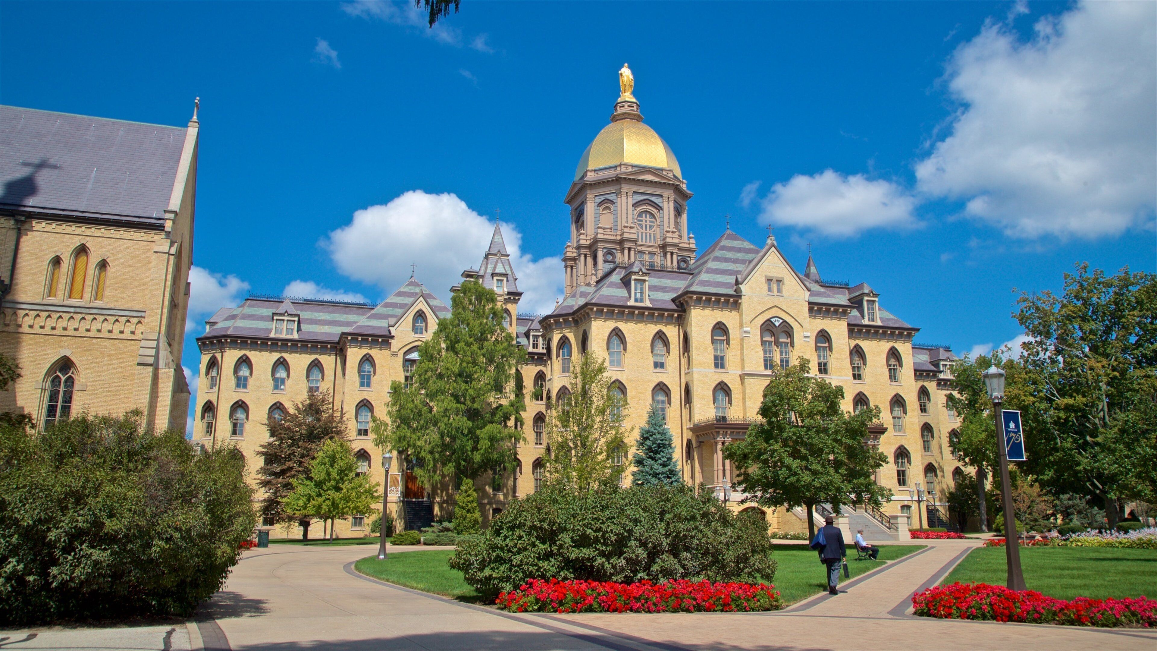 Basilica of the Sacred Heart showing a park, heritage architecture and flowers