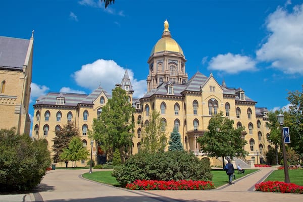Basilica of the Sacred Heart which includes flowers, a park and heritage architecture