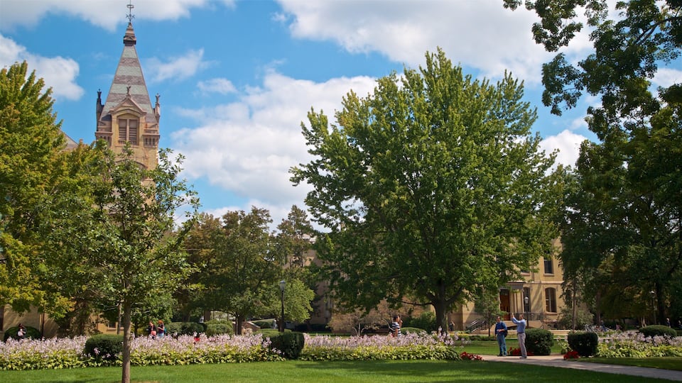 A university campus with a prominent clock tower, lush green trees, and well-maintained flower beds.