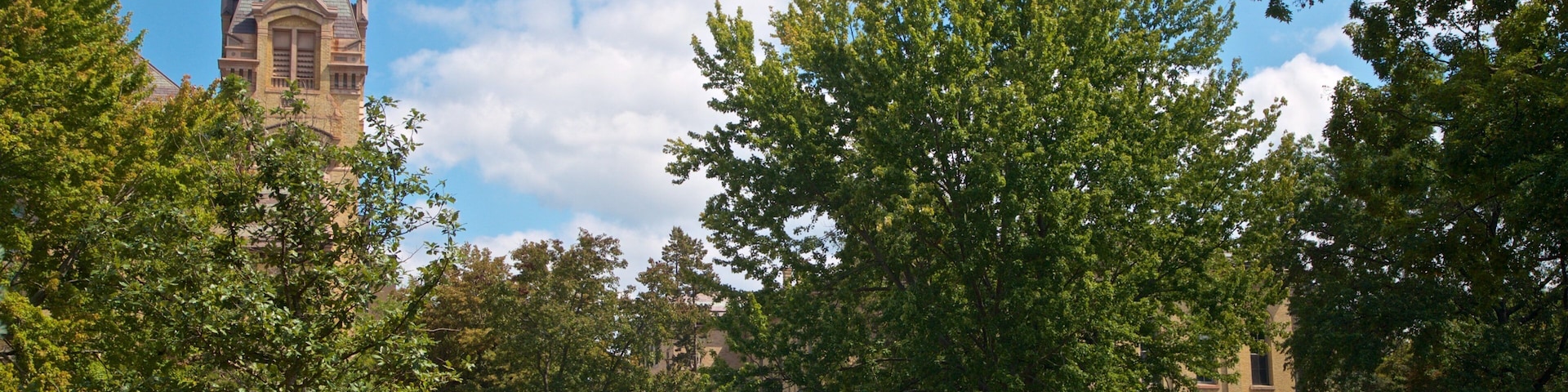 Basilica of the Sacred Heart featuring a garden and wildflowers
