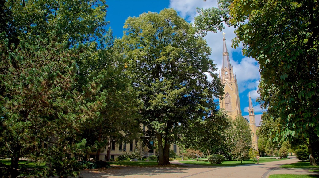 Basilica of the Sacred Heart featuring heritage architecture and a garden