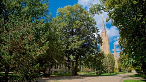 Basilica of the Sacred Heart featuring a park and heritage architecture