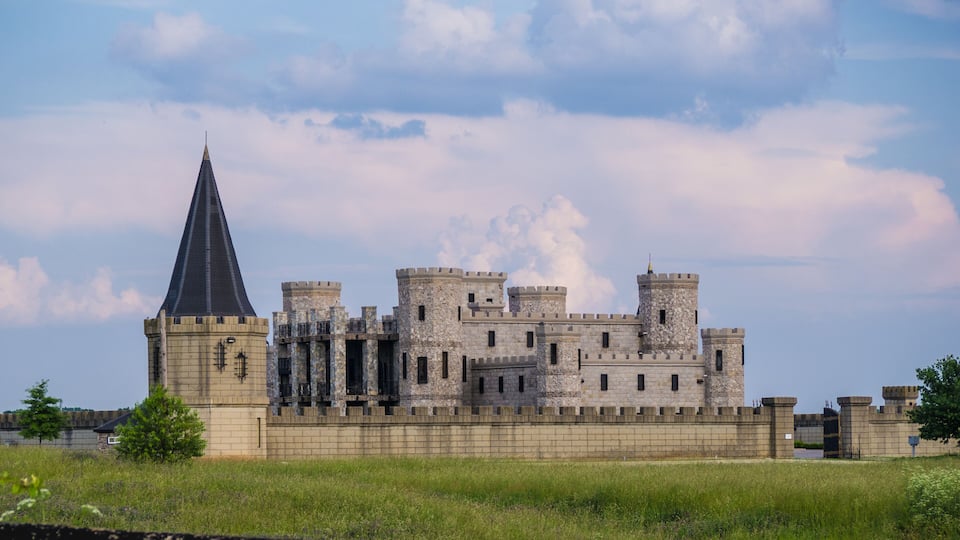 A large castle with multiple towers and a pointed roof, surrounded by a grassy field and a stone wall.