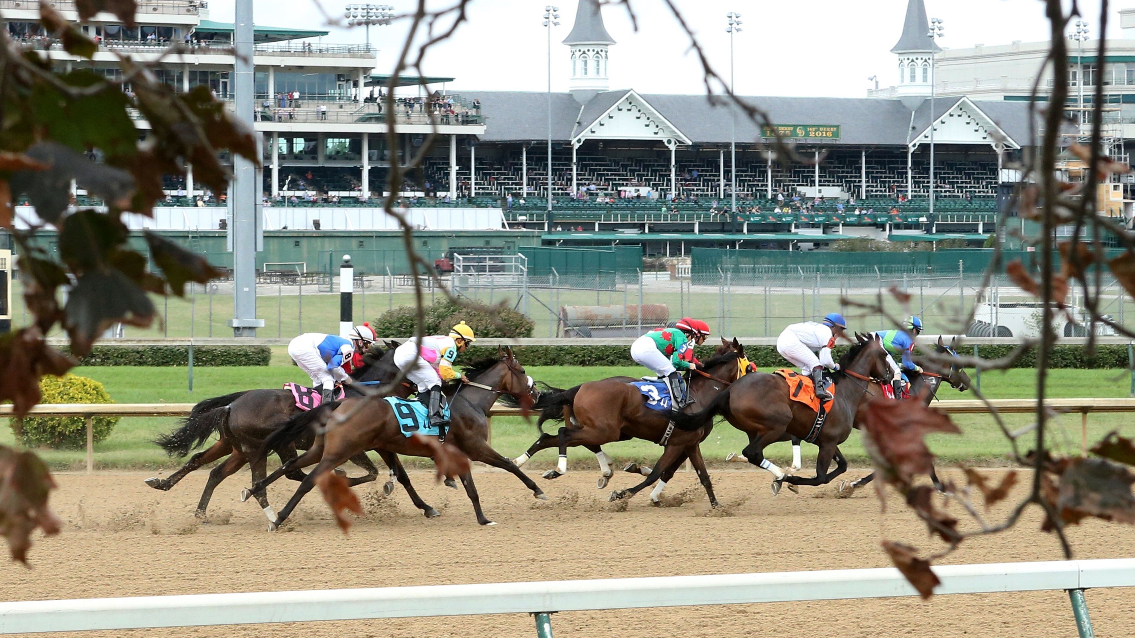 Churchill Downs trong đó bao gồm cưỡi ngựa và động vật trên can cũng như nhóm nhỏ