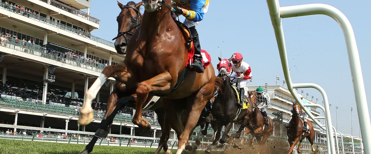 Churchill Downs showing horseriding and land animals as well as a small group of people