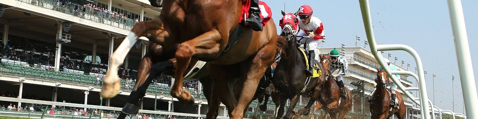 Churchill Downs showing horseriding and land animals as well as a small group of people