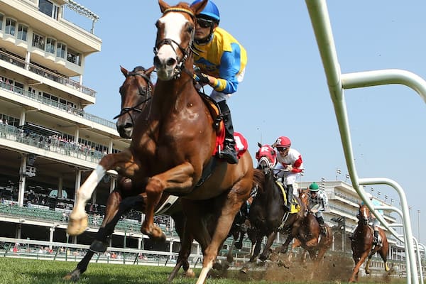 Churchill Downs mostrando equitación y animales terrestres y también un pequeño grupo de personas
