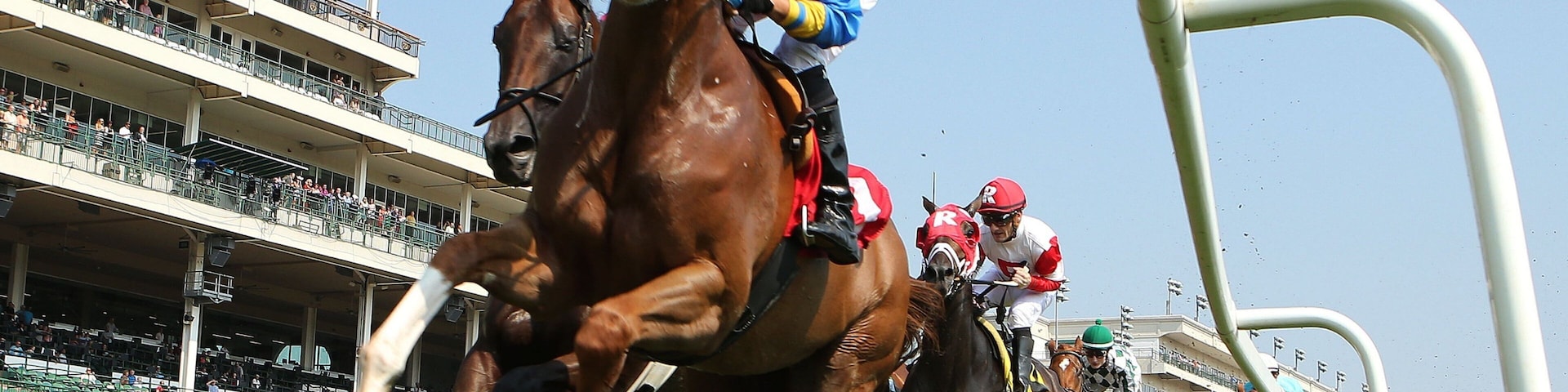 Churchill Downs que inclui cavalgada e animais terrestres assim como um pequeno grupo de pessoas