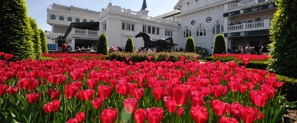 Churchill Downs which includes flowers, a garden and wildflowers