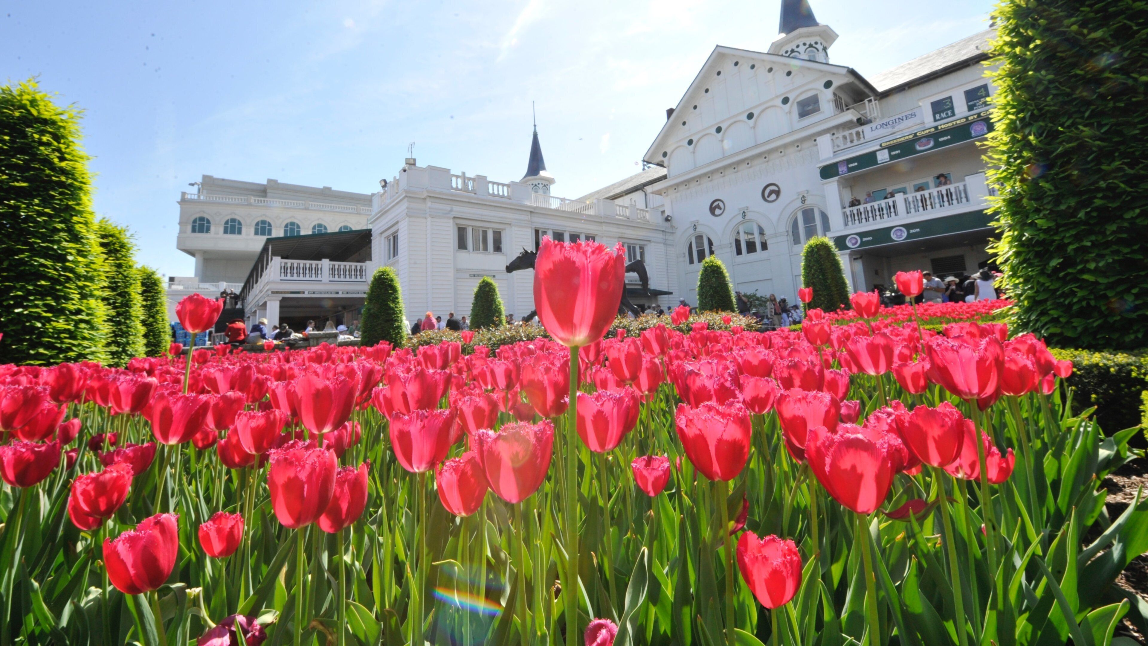 Churchill Downs which includes flowers, a garden and wildflowers