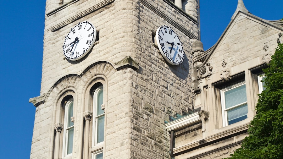 Universiti Louisville