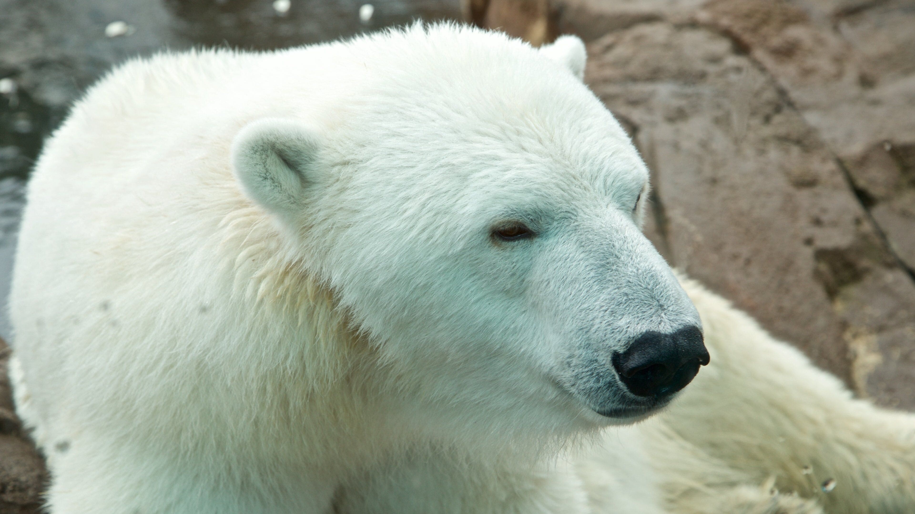 路易斯维尔动物园