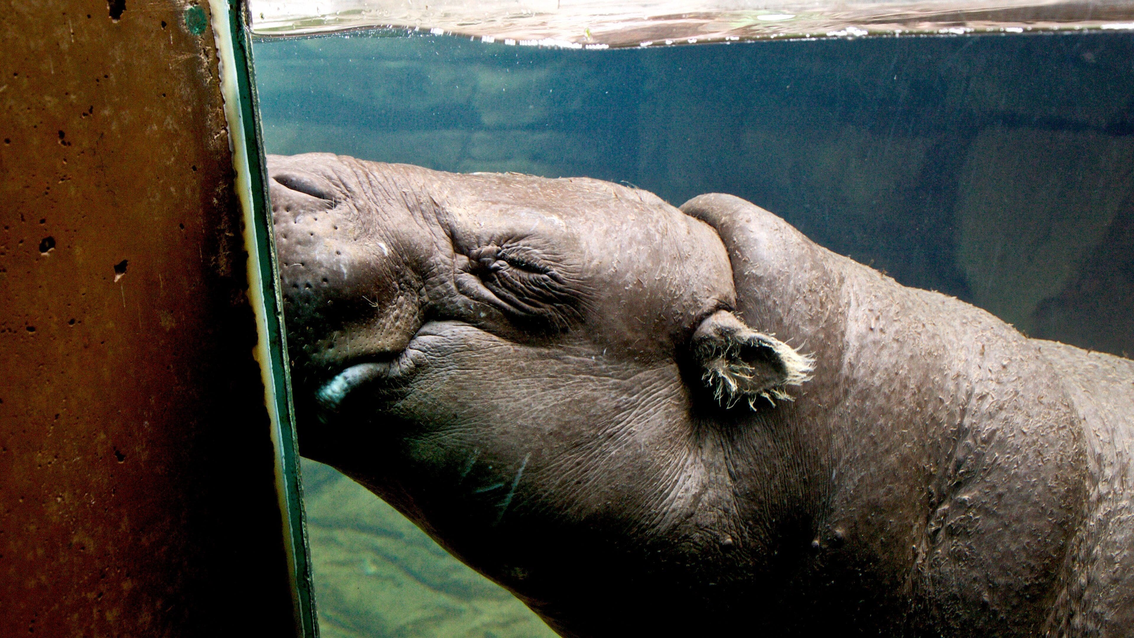 Louisville Zoo featuring marine life