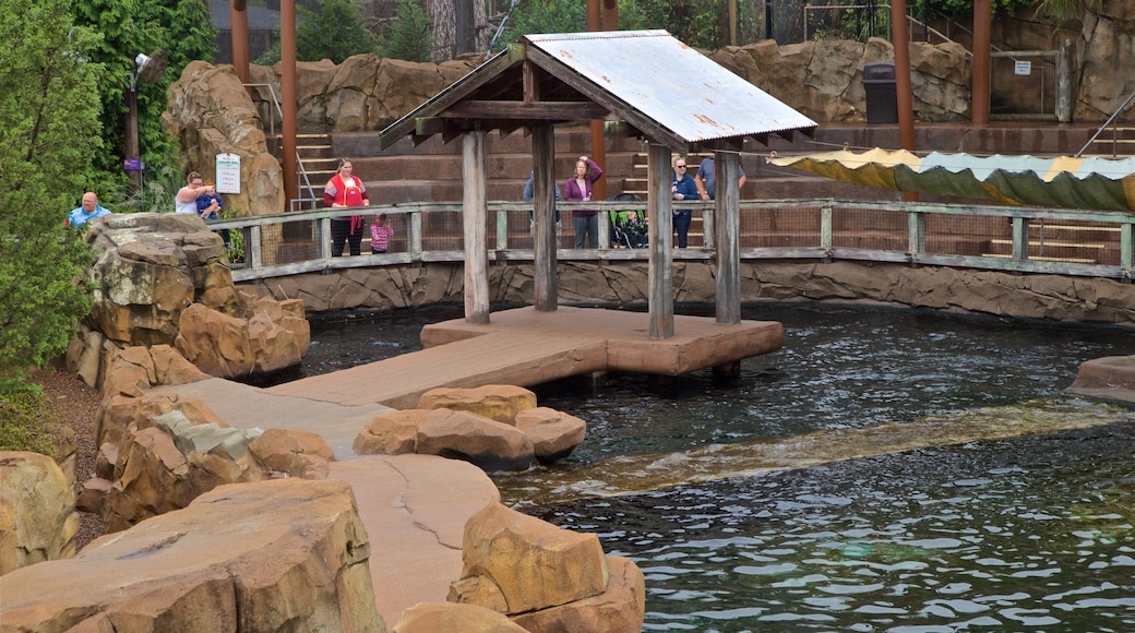 ルイビル動物園 表示 湖あるいは泉 と 動物園の動物 及び 少数の人々