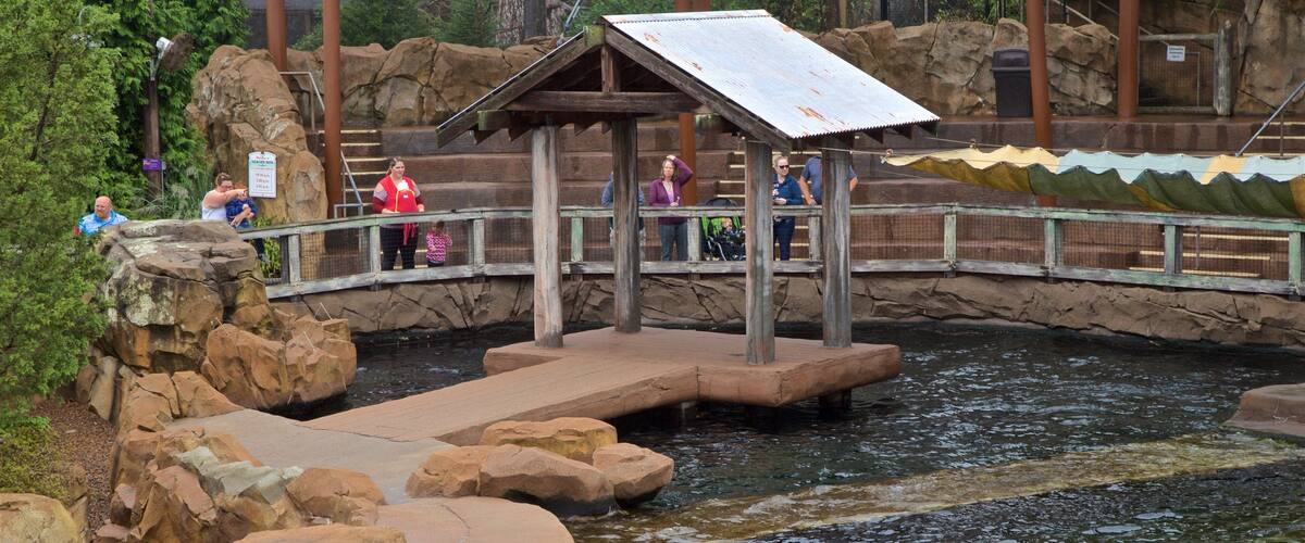 Zoo de Louisville montrant animaux de zoo et lac ou étang aussi bien que petit groupe de personnes