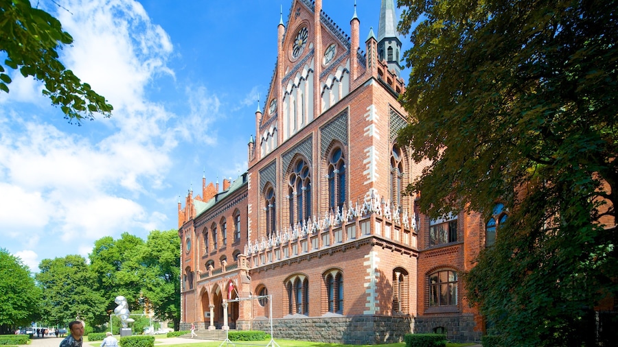 Latvian Art Museum showing street scenes and heritage architecture