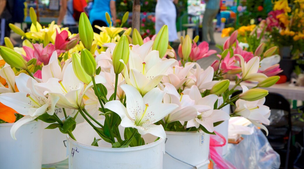 Riga Centrale Marked og byder på markeder og blomster