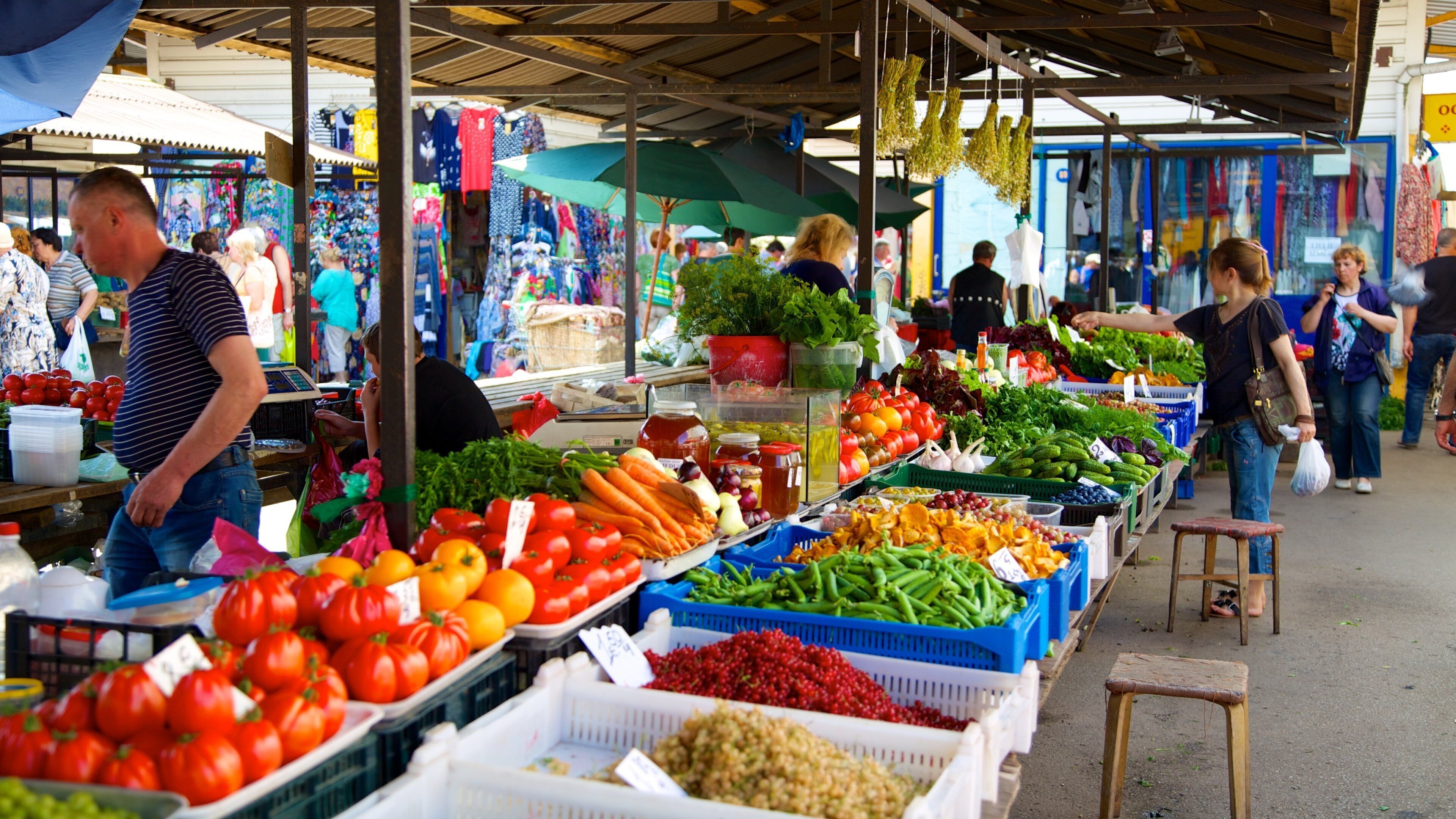 Riga Central Market which includes markets and street scenes as well as a large group of people