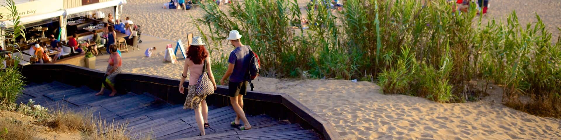Golden Sands Beach showing a beach and general coastal views