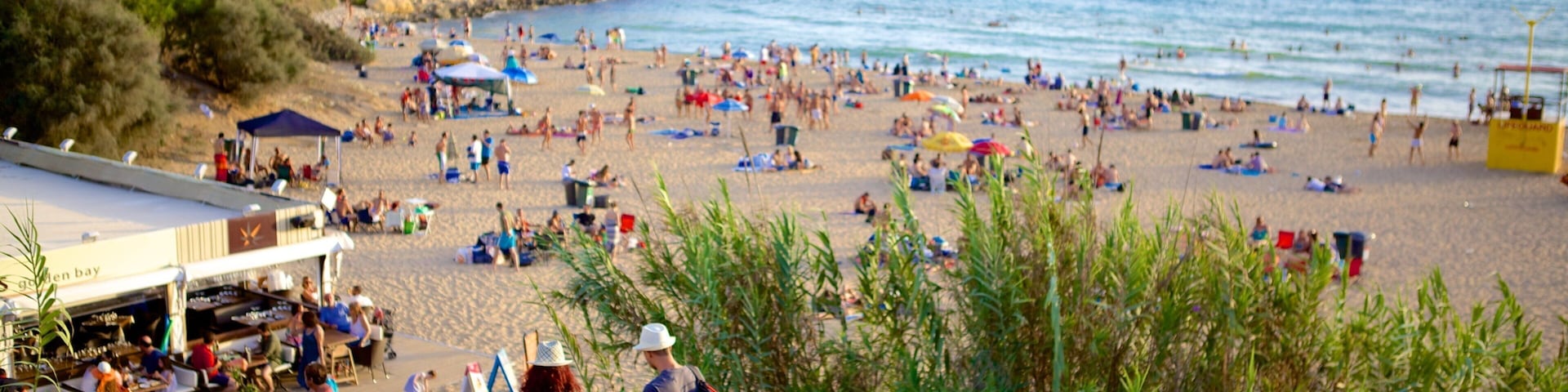 Golden Sands Beach showing a beach and general coastal views