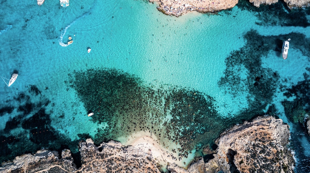 Laguna Blu