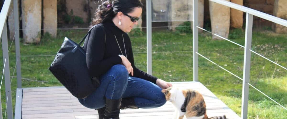 Everyone loves Cats in Malta!
