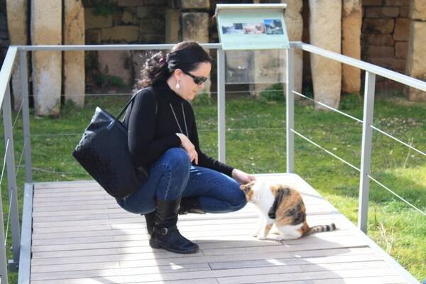 Everyone loves Cats in Malta!