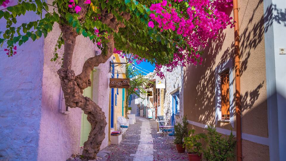 A narrow cobblestone street with vibrant bougainvillea flowers, traditional white and blue buildings, and potted plants.