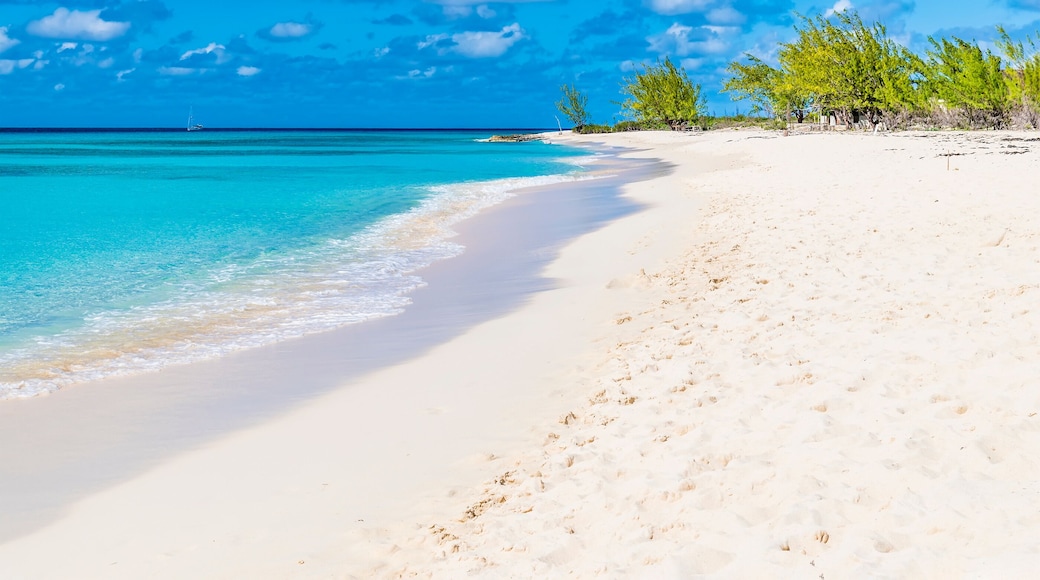 ์ฝ๋ฒํ๋ฒ