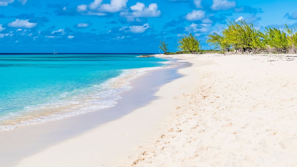 A beach with clear turquoise water, white sand, and green vegetation.