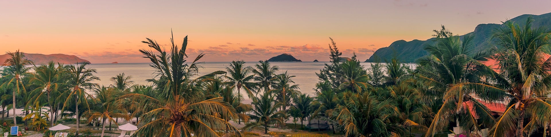 A tropical beach with palm trees and a sunset over the ocean.
