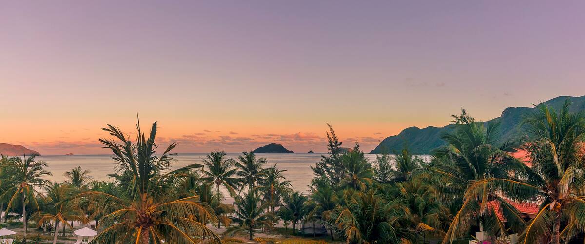 A tropical beach with palm trees and a sunset over the ocean.