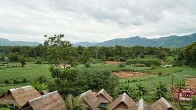 Exterior View of Corn Farm in Houn District, Oudomxay Province, Laos. Green Farm and Peaceful Place in Asia.
