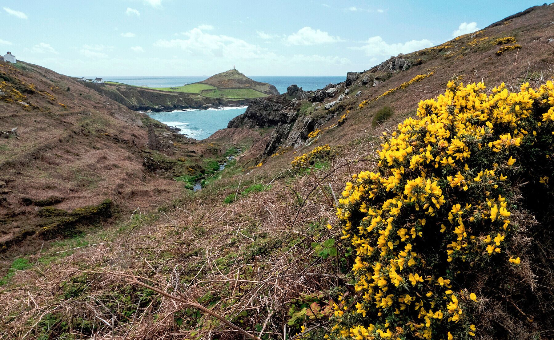 A coastal landscape with a rocky hillside, a small hill with a structure, and yellow flowering shrubs.
