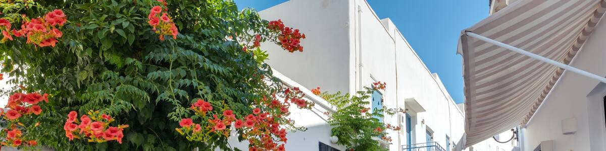 View of a typical narrow street in old town of Parikia, Paros island, Cyclades, Greece