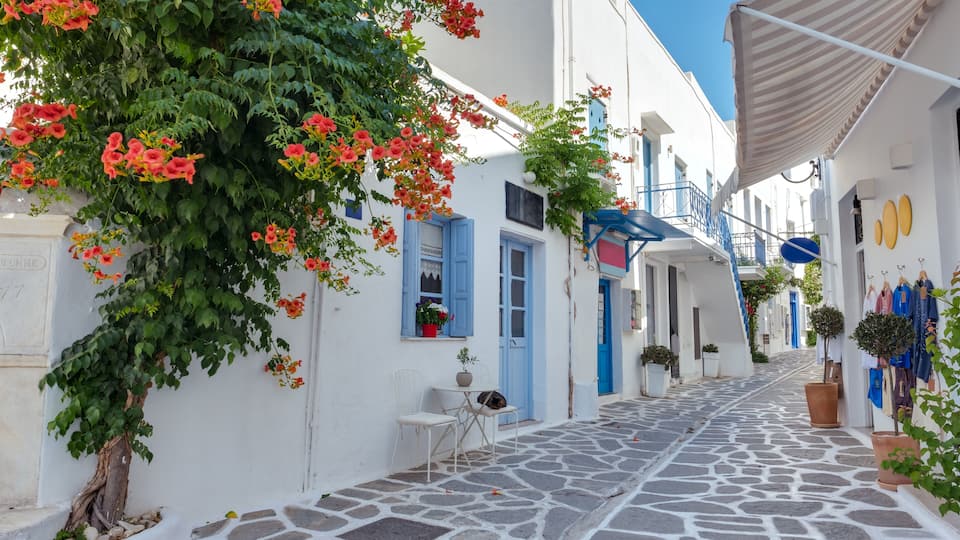 A narrow stone-paved street flanked by white buildings with blue shutters and doors, a tree with red flowers, and potted plants.