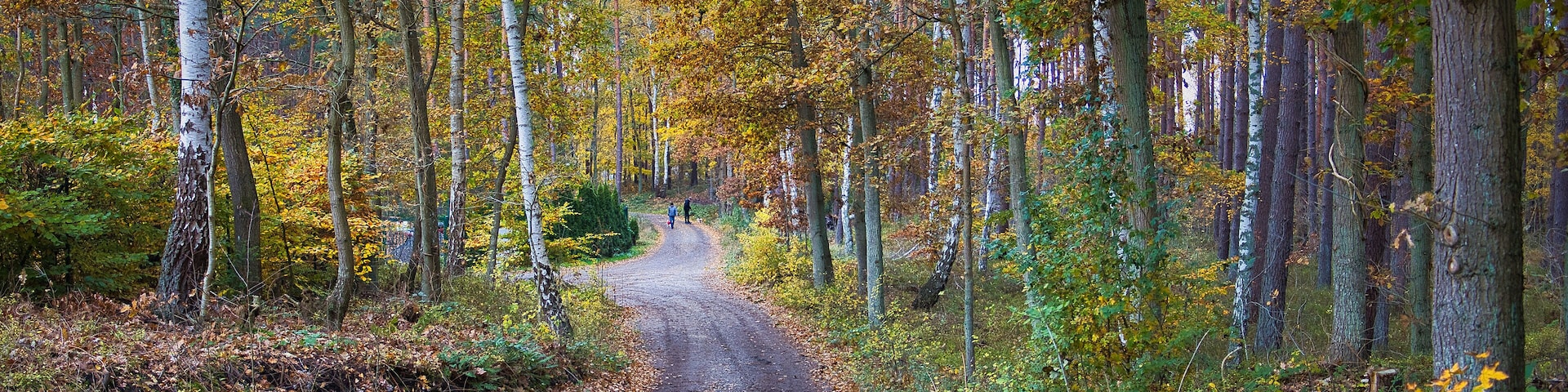 Wanderweg, Weg, Wandern, Ostseebad Baabe auf der Insel Rügen, Ostsee, Mecklenburg Vorpommern, Deutschland
