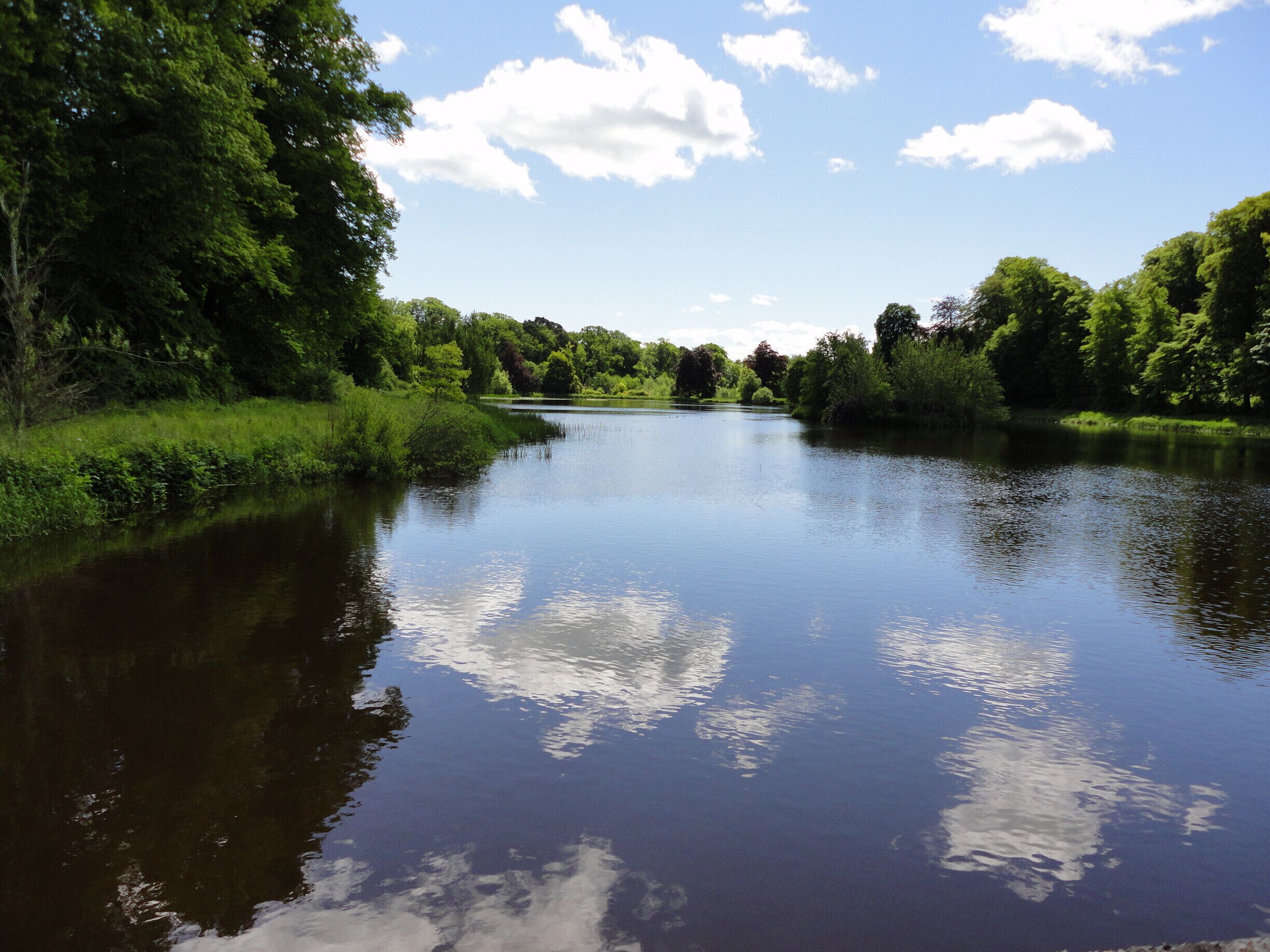 A calm river with dense greenery on both sides and a clear sky with clouds.