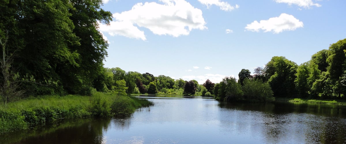 A calm river with dense greenery on both sides and a clear sky with clouds.