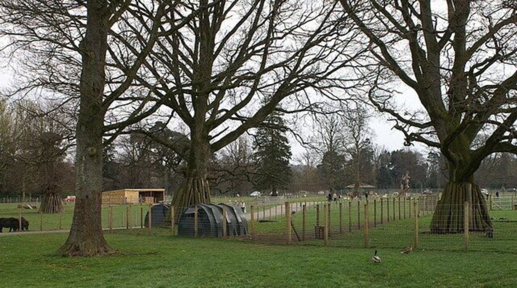 Petting zoo, Blairdrummond Safari Park Early in the season, only the Shetland ponies came close enough to the fences to be petted.