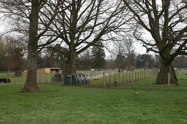 A rural landscape with large trees, a fenced area, and a small building.